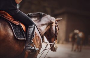 equestrian
